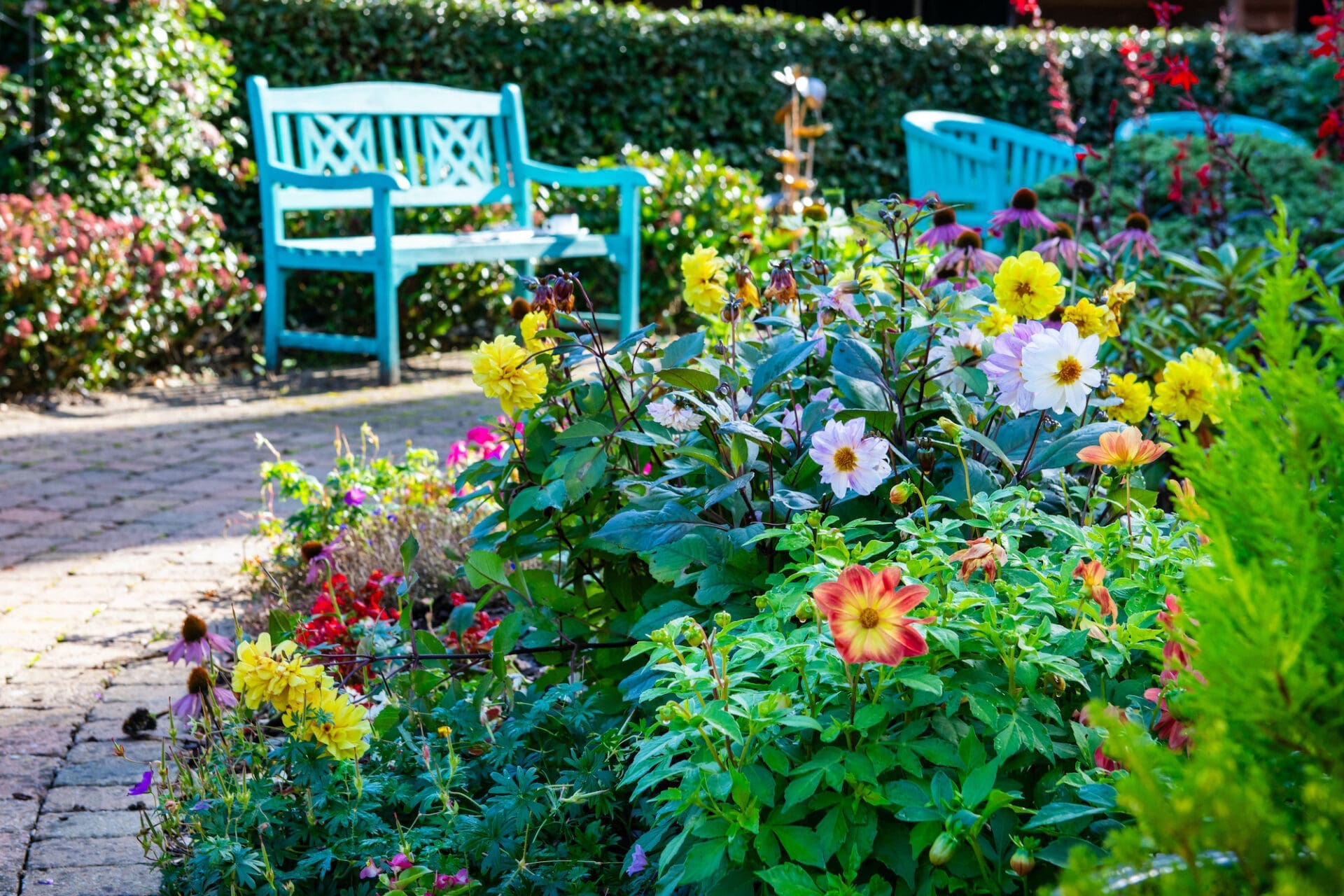 Gardens - Hartwood House Care Home