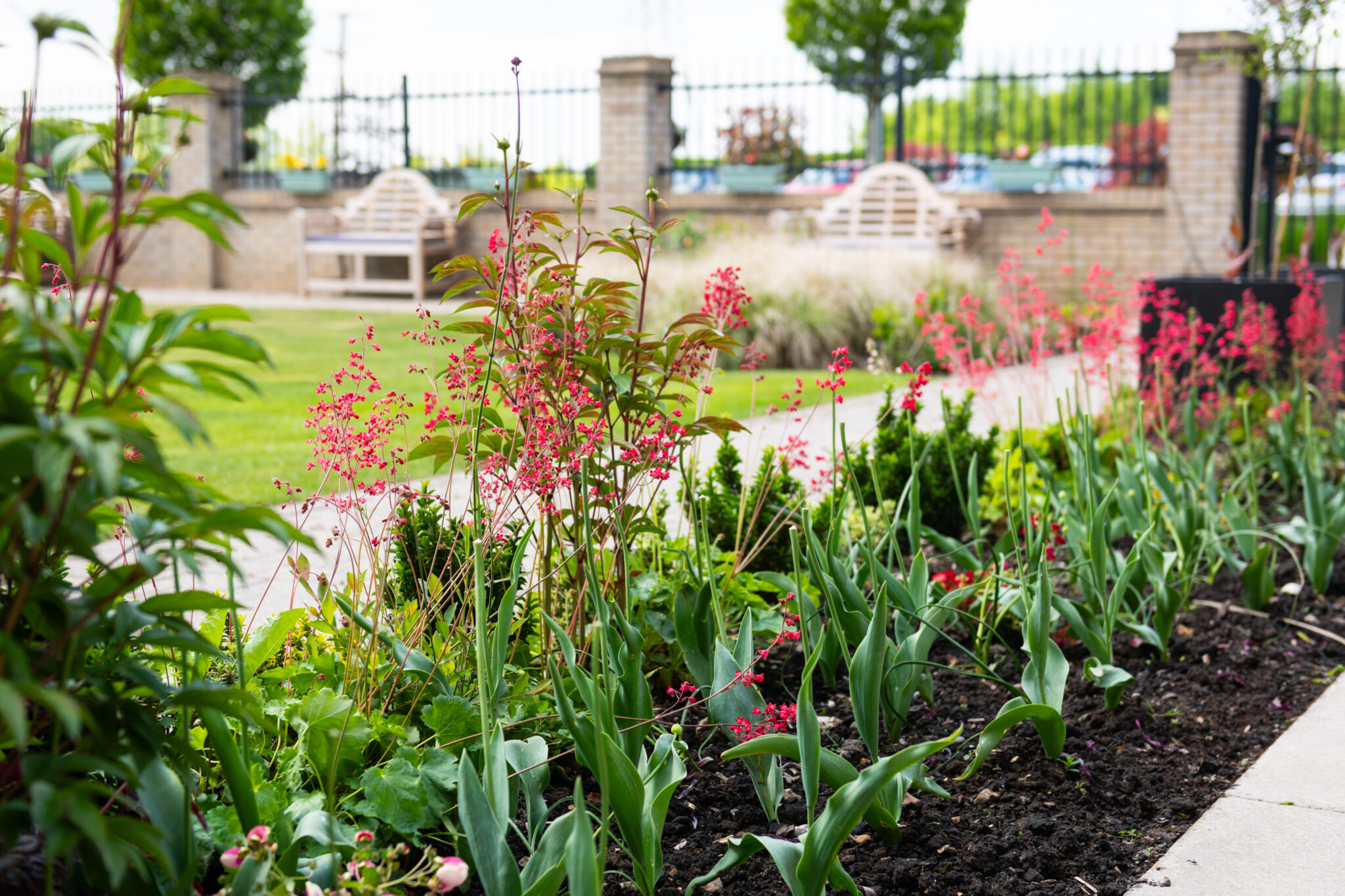 Wellington Vale in Waterlooville care home landscaped gardens5