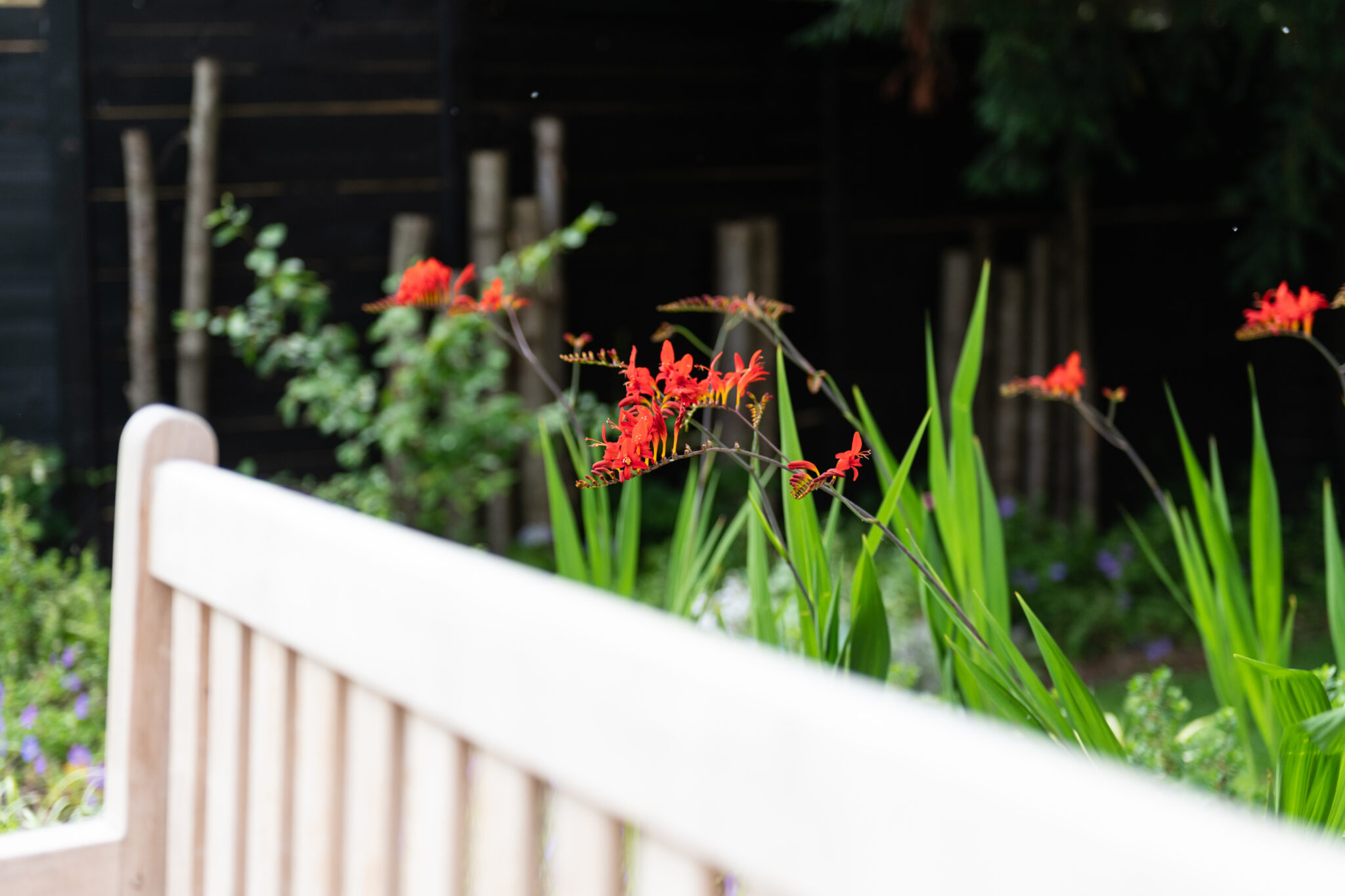 Flower garden at Merriman Grange Worthing